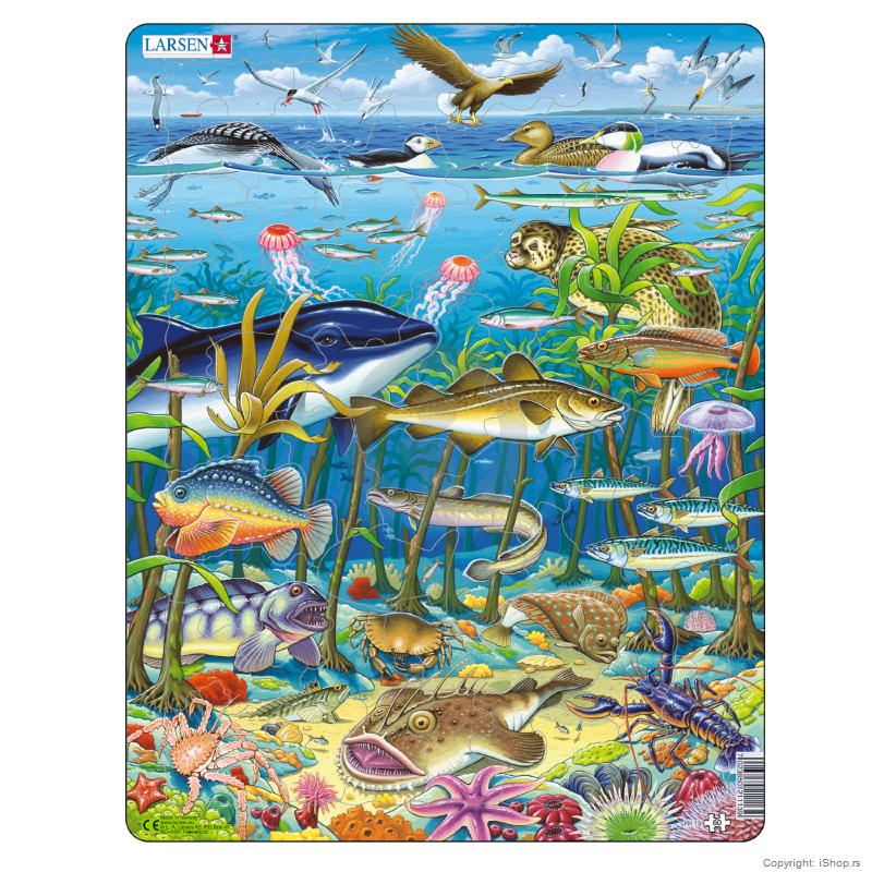 puzzle morski svet ishop online prodaja